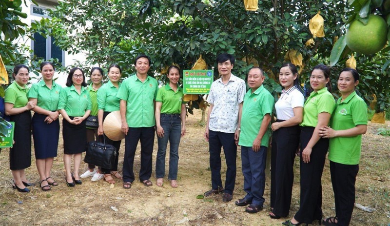 Lễ ra mắt thí điểm mô hình “Cây bảo hiểm xã hội tự nguyện, bảo hiểm y tế” Lễ ra mắt thí điểm mô hình “Cây bảo hiểm xã hội tự nguyện, bảo hiểm y tế”