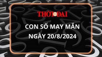Con số may mắn hôm nay 20/8/2024 12 con giáp: Dần tiền bạc, dạnh vọng dội về