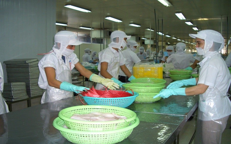 Kim ngạch xuất khẩu cá tra tháng 7 tăng trưởng 2 con số Kim ngạch xuất khẩu cá tra tháng 7 tăng trưởng 2 con số