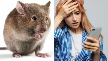 Top con giáp xui xẻo hôm nay (25/8/2024): Mão dễ gây mất lòng với người khác