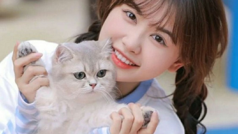 Tử vi hôm nay 12 con giáp 2/9/2024: Mão nhận được tin vui trêm con đường công danh Tử vi hôm nay 12 con giáp 2/9/2024: Mão nhận được tin vui trêm con đường công danh