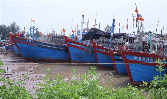 Ships anchor at fishing ports to avoid Typhoon Yagi. (Photo: VNA) Ships anchor at fishing ports to avoid Typhoon Yagi. (Photo: VNA)