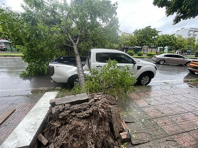 A fallen tree in Hanoi's Long Bien district, crushing a car parked on the side of the road. (Photo: VNA) A fallen tree in Hanoi's Long Bien district, crushing a car parked on the side of the road. (Photo: VNA)