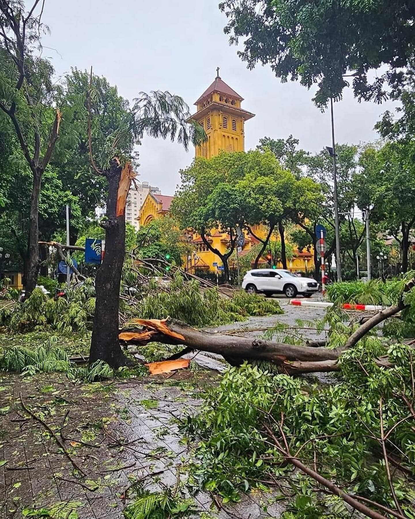 Hà Nội nỗ lực xuyên đêm khắc phục hậu quả bão số 3 Hà Nội nỗ lực xuyên đêm khắc phục hậu quả bão số 3