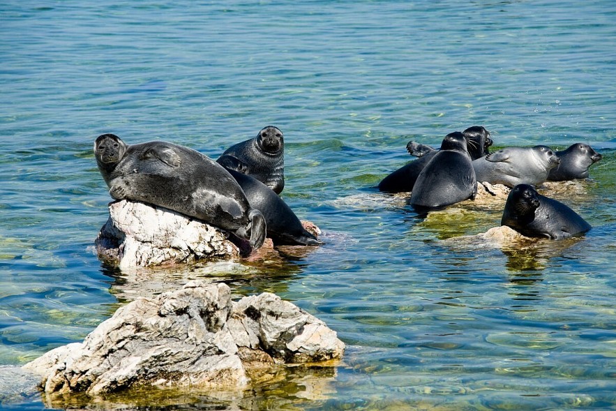 Baikal, World's Deepest Freshwater Lake: A Natural Wonder Explore Baikal: A Natural Wonder of Unmatched Depth