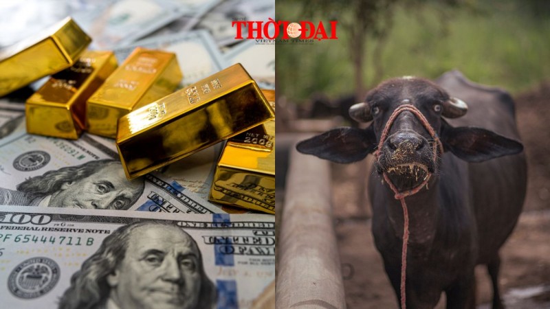 Top con giáp may mắn hôm nay 16/9/2024: Tiền bạc đầu túi, công danh thuận lợi Top con giáp may mắn hôm nay 16/9/2024: Tiền bạc đầu túi, công danh thuận lợi
