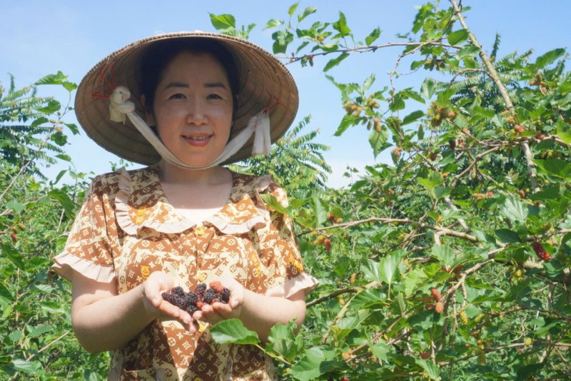 Nông thôn mới tại Hậu Giang: Đổi thay diệu kỳ từ chính sách phát triển bền vững Nông thôn mới tại Hậu Giang: Đổi thay diệu kỳ từ chính sách phát triển bền vững