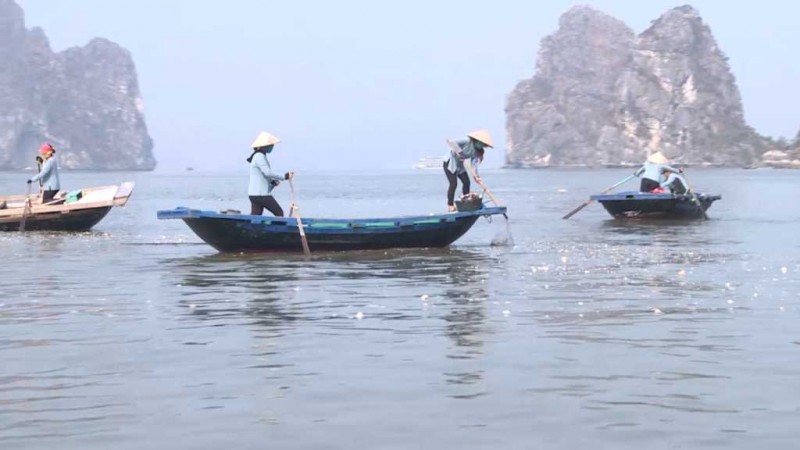 Các hoạt động dọn vệ sinh rác trên Vịnh Hạ Long (Ảnh: T.L). Các hoạt động dọn vệ sinh rác trên Vịnh Hạ Long (Ảnh: T.L).