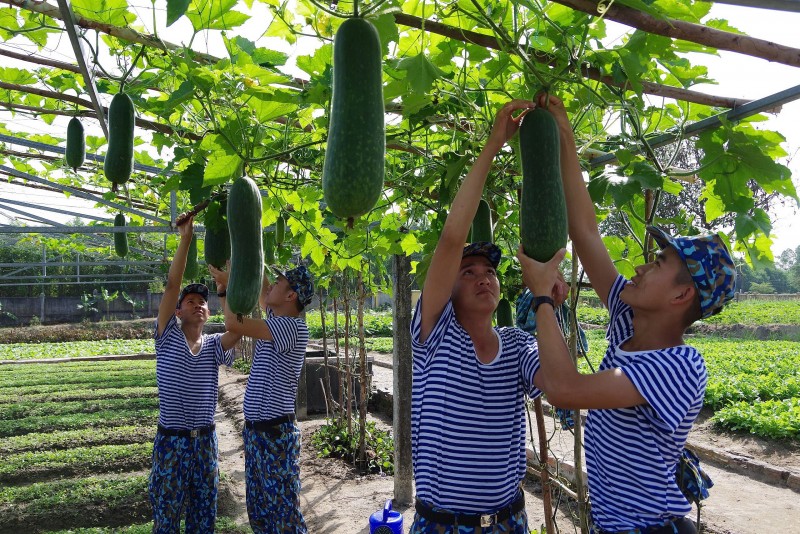 Vùng 3 Hải quân: Đổi mới công tác thi đua khen thưởng và phong trào thi đua quyết thắng Vùng 3 Hải quân: Đổi mới công tác thi đua khen thưởng và phong trào thi đua quyết thắng