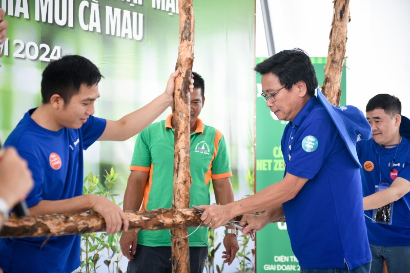 Ông Lê Hoàng Minh thực hiện mẫu thao tác buộc thép các cọc cừ tràm để làm hàng rào khoanh nuôi. Ông Lê Hoàng Minh thực hiện mẫu thao tác buộc thép các cọc cừ tràm để làm hàng rào khoanh nuôi.
