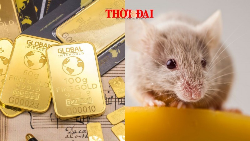 Top con giáp may mắn hôm nay 24/9/2024: Sự nghiệp phát triển tiền đồ đi lên Top con giáp may mắn hôm nay 24/9/2024: Sự nghiệp phát triển tiền đồ đi lên