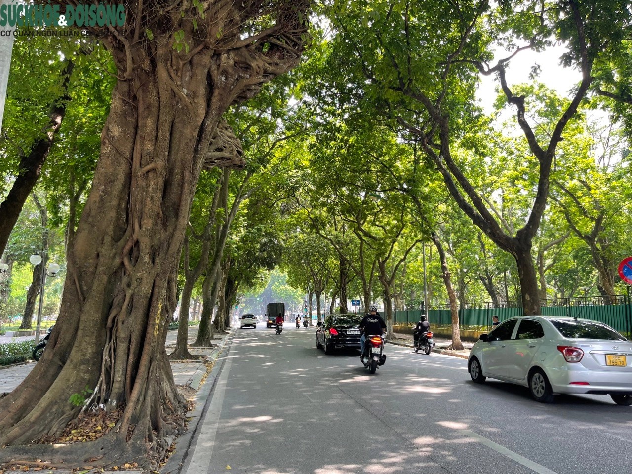 Thời tiết hôm nay (25/9): Miền Bắc ngày nắng, gió nhẹ Thời tiết hôm nay (25/9): Miền Bắc ngày nắng, gió nhẹ