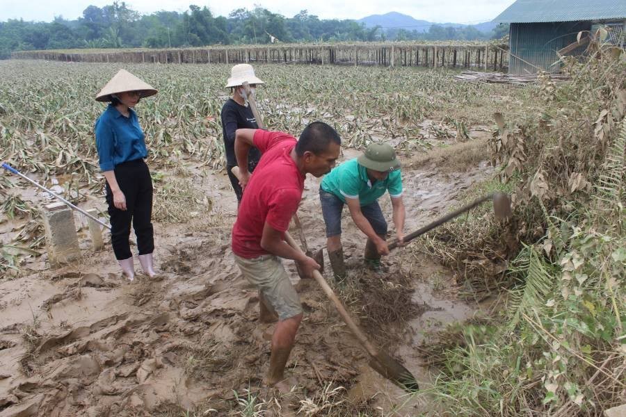 Xuất cấp hạt giống cây trồng hỗ trợ Lào Cai khôi phục sản xuất Xuất cấp hạt giống cây trồng hỗ trợ Lào Cai khôi phục sản xuất