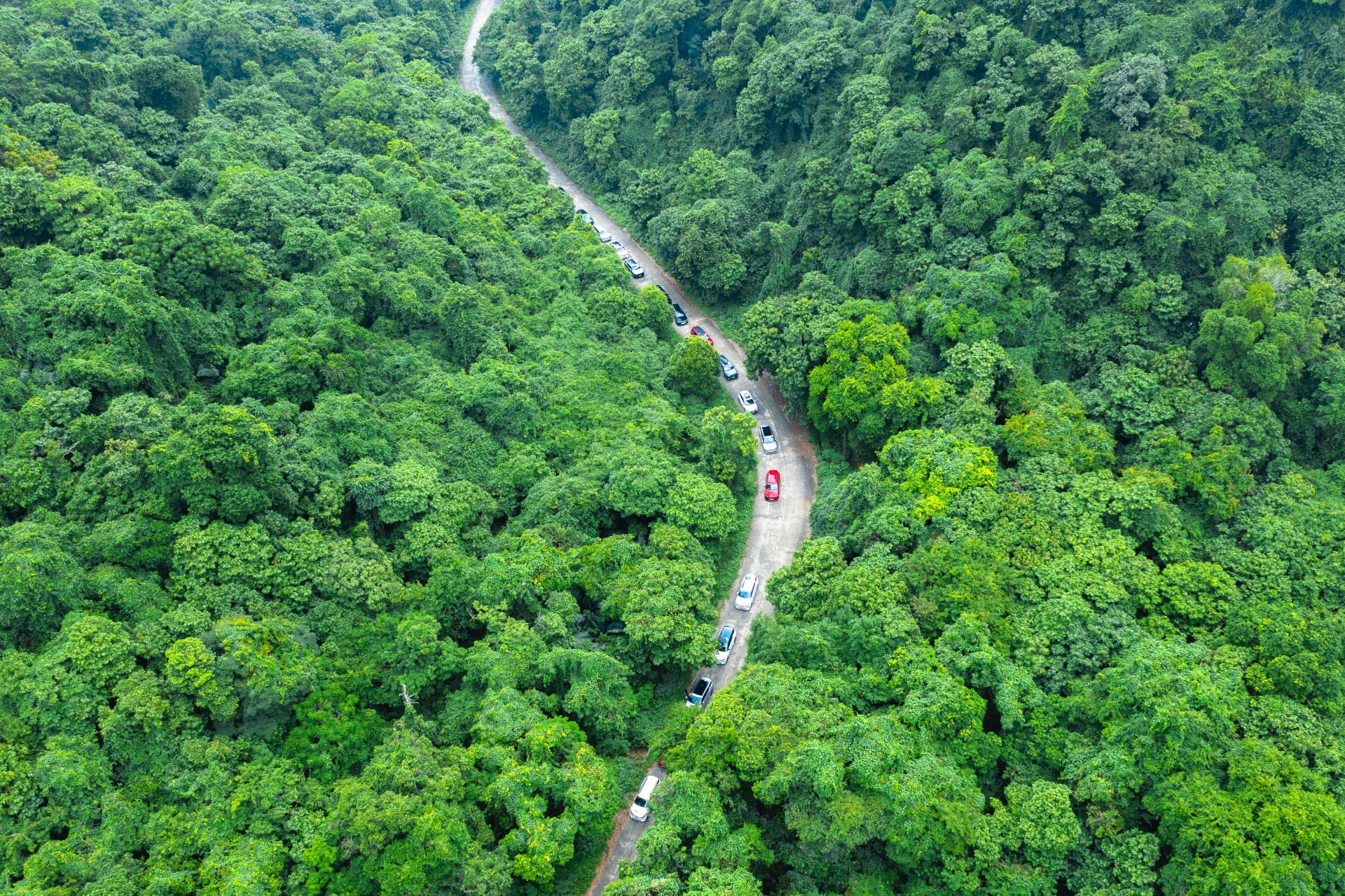 Ngắm những hình ảnh siêu ấn tượng của dàn 333 xe VinFast VF 9 trên hành trình hơn 100km Ngắm những hình ảnh siêu ấn tượng của dàn 333 xe VinFast VF 9 trên hành trình hơn 100km