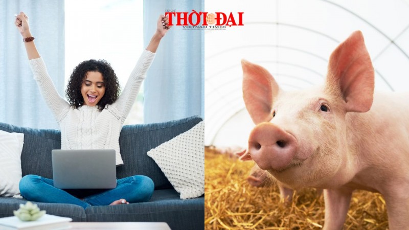Top con giáp may mắn cuối tuần (12-13/10/2024): Hợi đón tin vui về đầu tư kinh doanh Top con giáp may mắn cuối tuần (12-13/10/2024): Hợi đón tin vui về đầu tư kinh doanh