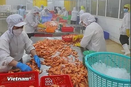 Standard Chartered has revised up its forecast for Vietnam’s 2024 GDP growth to 6.8% from the previous 6.0%. (Photo: VNA) Standard Chartered has revised up its forecast for Vietnam’s 2024 GDP growth to 6.8% from the previous 6.0%. (Photo: VNA)