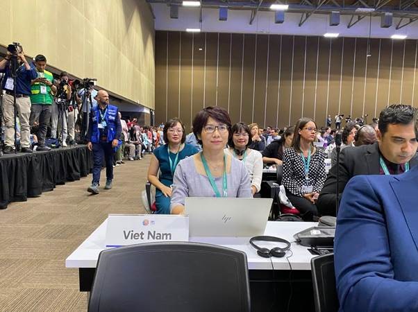 Vietnamese delegation at the opening ceremony of COP16. (Photo: Ministry of Natural Resources and Environment website) Vietnamese delegation at the opening ceremony of COP16. (Photo: Ministry of Natural Resources and Environment website)