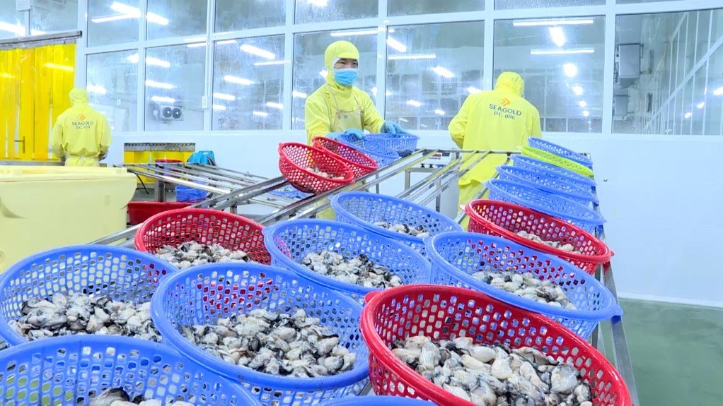 Quang Ninh to Promote Local Brands to the International Market Quang Ninh to Promote Local Brands to the International Market