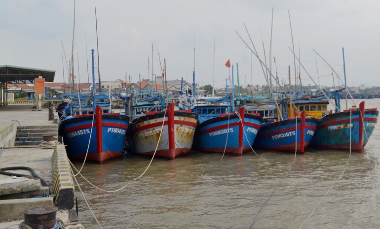 Các địa phương chủ động ứng phó với bão số 6 Các địa phương chủ động ứng phó với bão số 6