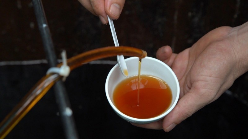 Taste Atlas: Vietnam’s Fish Sauce, Fermented Dish Sauce Among World’s Best Dipping Sauces Taste Atlas: Vietnam’s Fish Sauce, Fermented Dish Sauce Among World’s Best Dipping Sauces