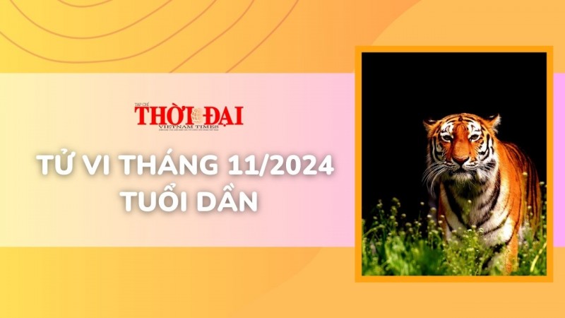 Tử vi tháng 11/2024 tuổi Dần: Cát tinh dẫn đường vạn sự hanh thông Tử vi tháng 11/2024 tuổi Dần: Cát tinh dẫn đường vạn sự hanh thông