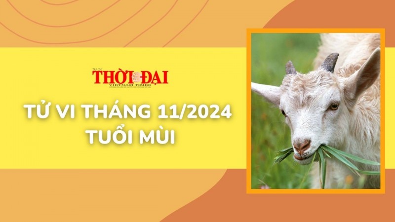 Tử vi tháng 11/2024 tuổi Mùi: Khó khăn áp lực chồng chất Tử vi tháng 11/2024 tuổi Mùi: Khó khăn áp lực chồng chất