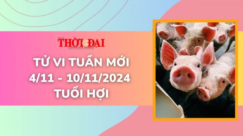 Tử vi tuần mới 4/11 đến 10/11/2024 tuổi Hợi: Tình duyên, công danh tài lộc Tử vi tuần mới 4/11 đến 10/11/2024 tuổi Hợi: Tình duyên, công danh tài lộc