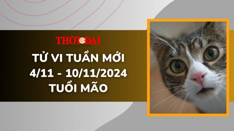 Tử vi tuần mới 4/11 đến 10/11/2024 tuổi Mão: Tình duyên, công danh tài lộc Tử vi tuần mới 4/11 đến 10/11/2024 tuổi Mão: Tình duyên, công danh tài lộc