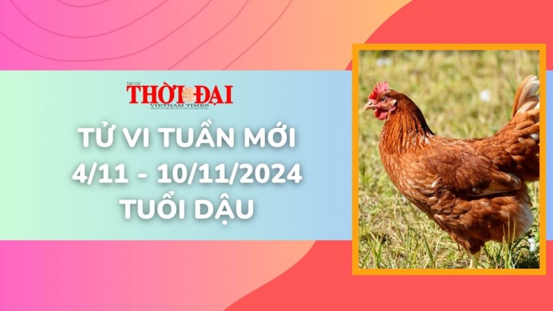 Tử vi tuần mới 4/11 đến 10/11/2024 tuổi Dậu: Tình duyên, công danh tài lộc Tử vi tuần mới 4/11 đến 10/11/2024 tuổi Dậu: Tình duyên, công danh tài lộc