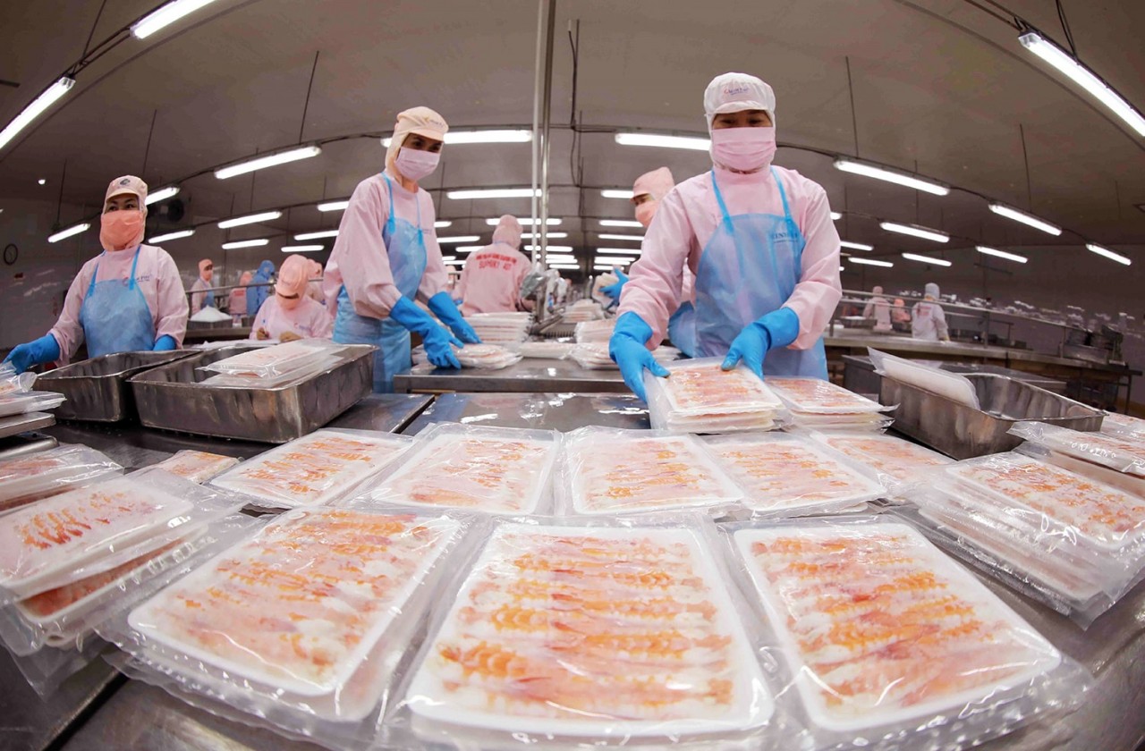 Processing shrimp for export at Minh Phu Seafood Corporation's factory _ Photo: VNA Processing shrimp for export at Minh Phu Seafood Corporation's factory _ Photo: VNA