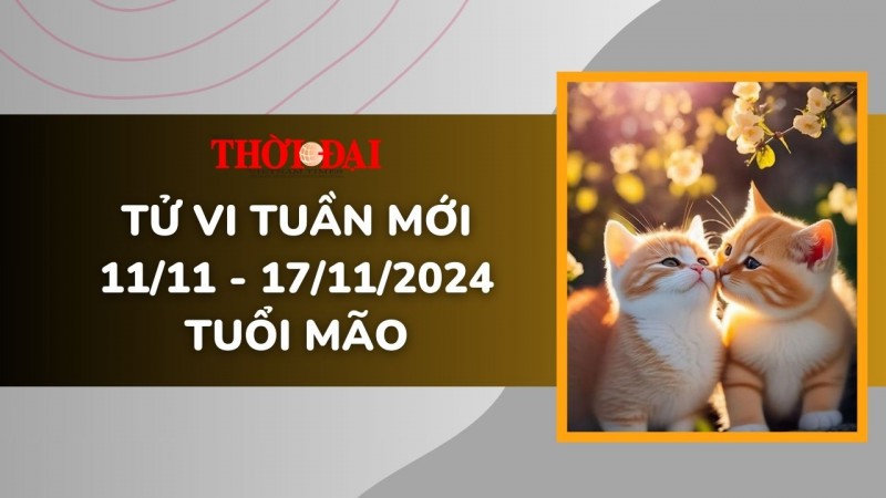 Tử vi tuần mới 11/11 đến 17/11/2024 tuổi Mão: Tình duyên, công danh tài lộc Tử vi tuần mới 11/11 đến 17/11/2024 tuổi Mão: Tình duyên, công danh tài lộc