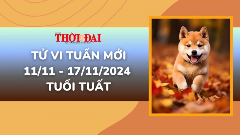 Tử vi tuần mới 11/11 đến 17/11/2024 tuổi Tuất: Công danh tài lộc, tình duyên Tử vi tuần mới 11/11 đến 17/11/2024 tuổi Tuất: Công danh tài lộc, tình duyên