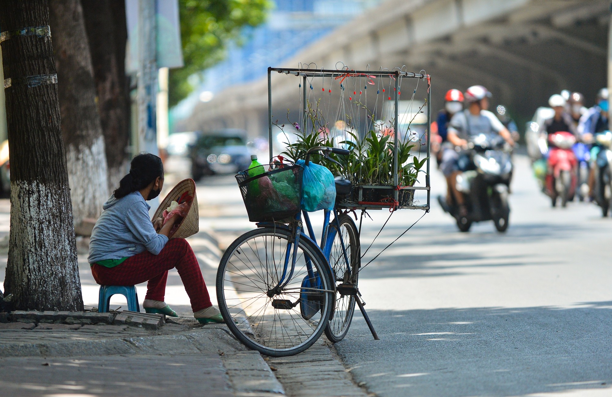 Hà Nội ngày nắng, đêm không mưa trong ngày 15/11. (Ảnh minh họa: KT) Hà Nội ngày nắng, đêm không mưa trong ngày 15/11. (Ảnh minh họa: KT)