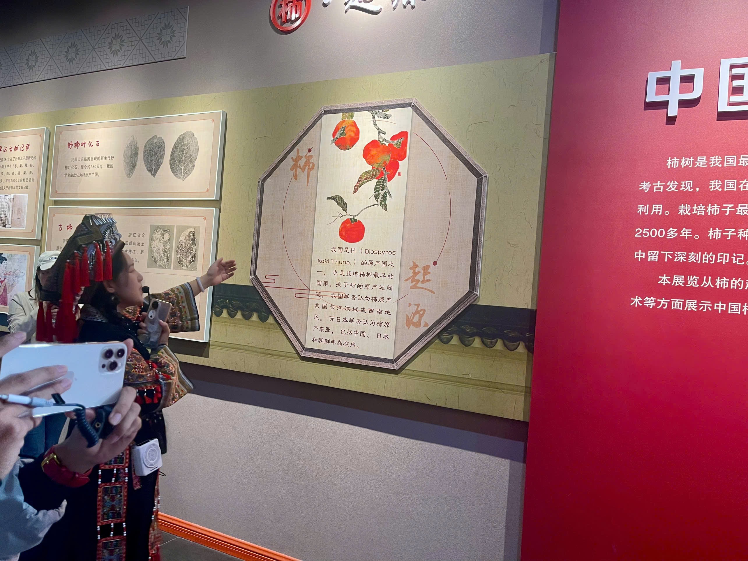Mùa hồng đẹp như cổ tích tại huyện Cung Thành (Trung Quốc) Mùa hồng đẹp như cổ tích tại huyện Cung Thành (Trung Quốc)