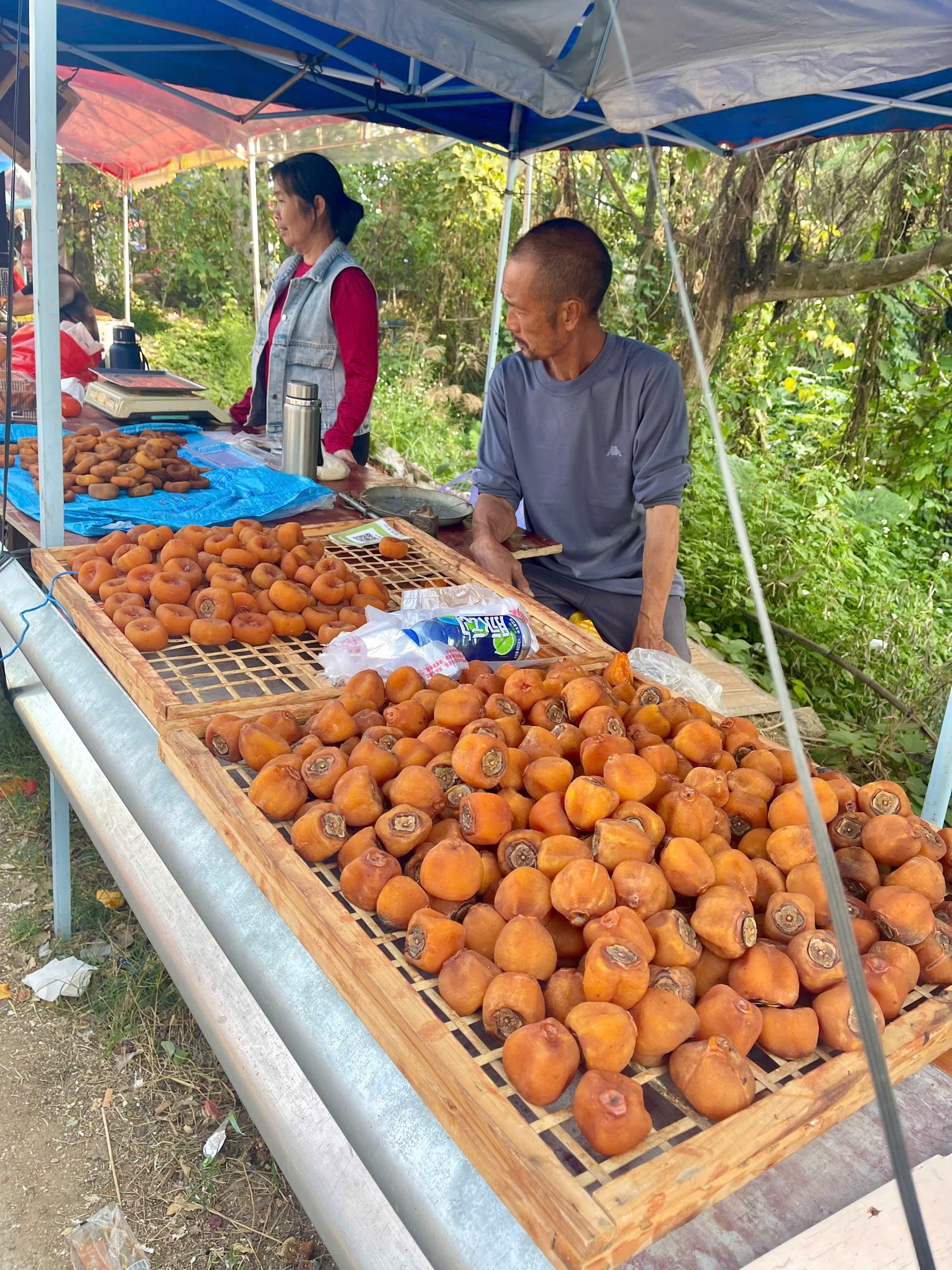Mùa hồng đẹp như cổ tích tại huyện Cung Thành (Trung Quốc) Mùa hồng đẹp như cổ tích tại huyện Cung Thành (Trung Quốc)