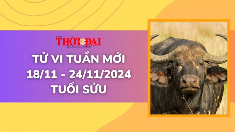 Tử vi tuần mới 18/11 đến 24/11/2024 tuổi Sửu: Công danh tài lộc, tình duyên Tử vi tuần mới 18/11 đến 24/11/2024 tuổi Sửu: Công danh tài lộc, tình duyên