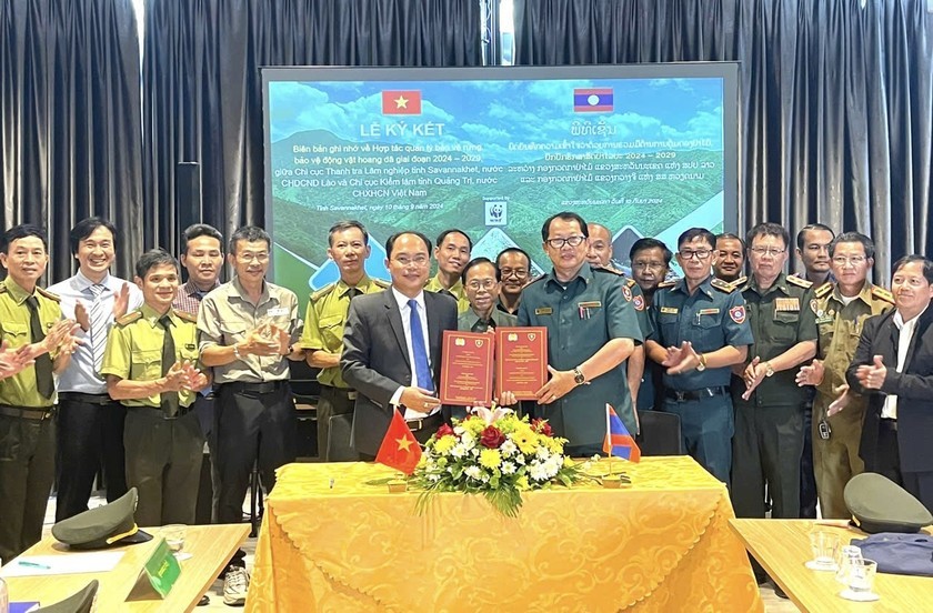 Việt Nam – Lào: Chung tay bảo vệ rừng, bảo tồn tài nguyên thiên nhiên ở tuyến biên giới Việt Nam – Lào: Chung tay bảo vệ rừng, bảo tồn tài nguyên thiên nhiên ở tuyến biên giới