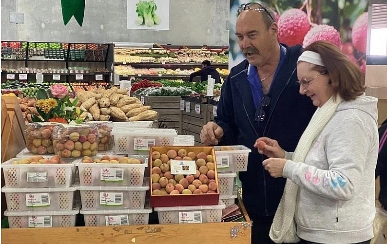 Agricultural products are one of Vietnam's key export items to the Russian market. Agricultural products are one of Vietnam's key export items to the Russian market.