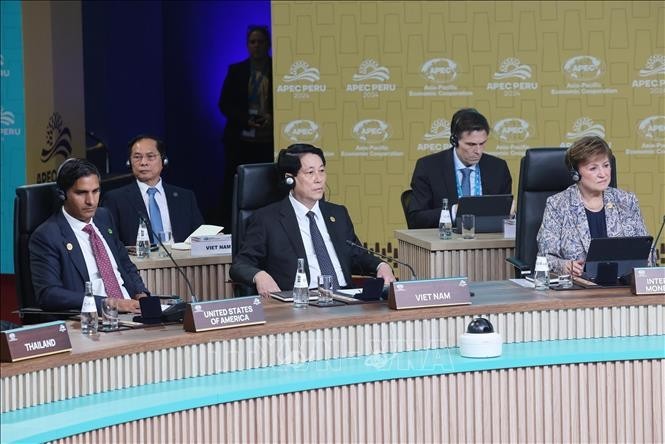 VN President Luong Cuong Proposes Direction for Promoting APEC's Role President of Vietnam Luong Cuong Proposes Direction for Promoting APEC's Role