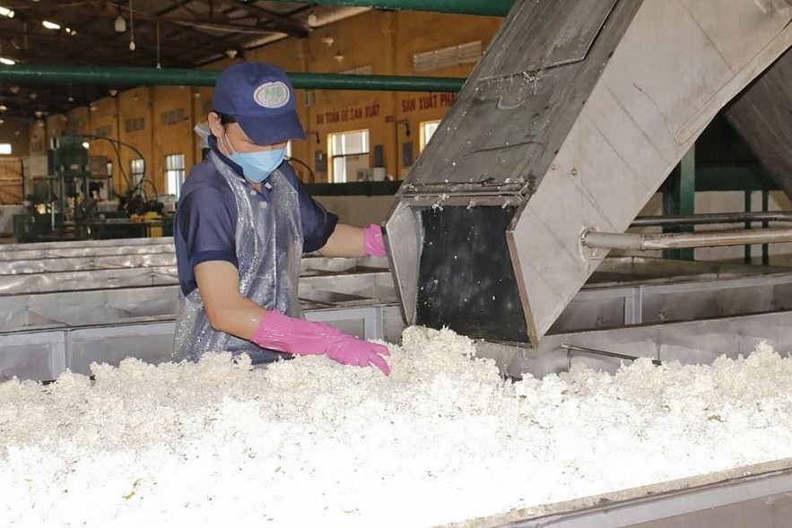 Vietnam and Dominican Republic: Abundant Potential for Trade Cooperation Vietnam and Dominican Republic: Abundant Potential for Trade Cooperation