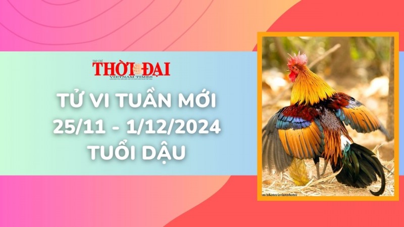 Tử vi tuần mới 25/11 đến 1/12/2024 tuổi Dậu: Tình duyên, công danh tài lộc máy mắn vượt bậc Tử vi tuần mới 25/11 đến 1/12/2024 tuổi Dậu: Tình duyên, công danh tài lộc máy mắn vượt bậc