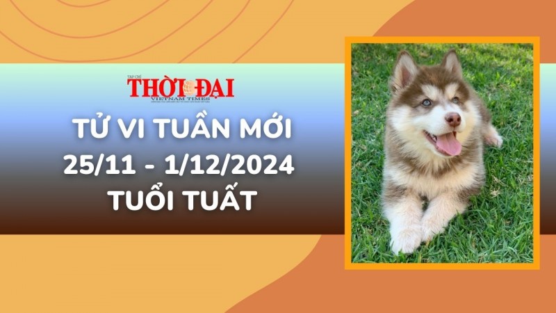 Tử vi tuần mới 25/11 đến 1/12/2024 tuổi Tuất: Tình duyên, công danh tài lộc Tử vi tuần mới 25/11 đến 1/12/2024 tuổi Tuất: Tình duyên, công danh tài lộc