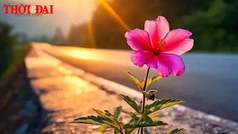 Tử vi hôm nay 12 cung hoàng đạo 30/11/2024: Song Ngư đối mặt với nhiều thách thức Tử vi hôm nay 12 cung hoàng đạo 30/11/2024: Song Ngư đối mặt với nhiều thách thức