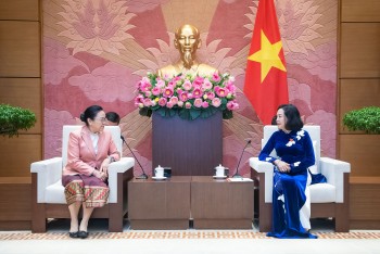 Việt Nam dành ưu tiên cao nhất cho quan hệ đặc biệt với Lào