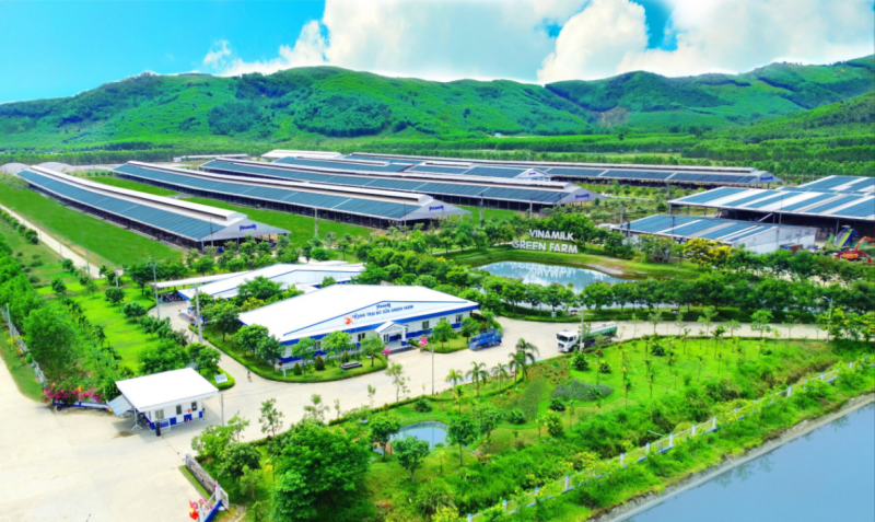 Hệ thống trang trại và nhà máy hiện đại, trải dài khắp cả nước là một lợi thế lớn mà không phải doanh nghiệp sữa nào cũng có được. Hệ thống trang trại và nhà máy hiện đại, trải dài khắp cả nước là một lợi thế lớn mà không phải doanh nghiệp sữa nào cũng có được.