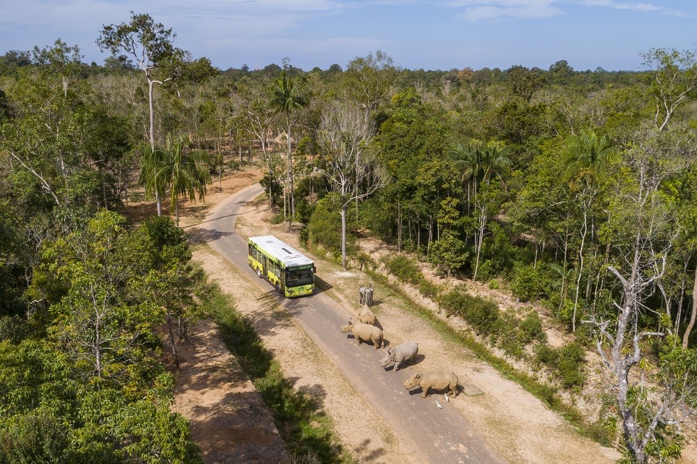 Vinpearl Safari Phú Quốc lọt top đầu vườn thú và thủy cung tại Châu Á Vinpearl Safari Phú Quốc lọt top đầu vườn thú và thủy cung tại Châu Á