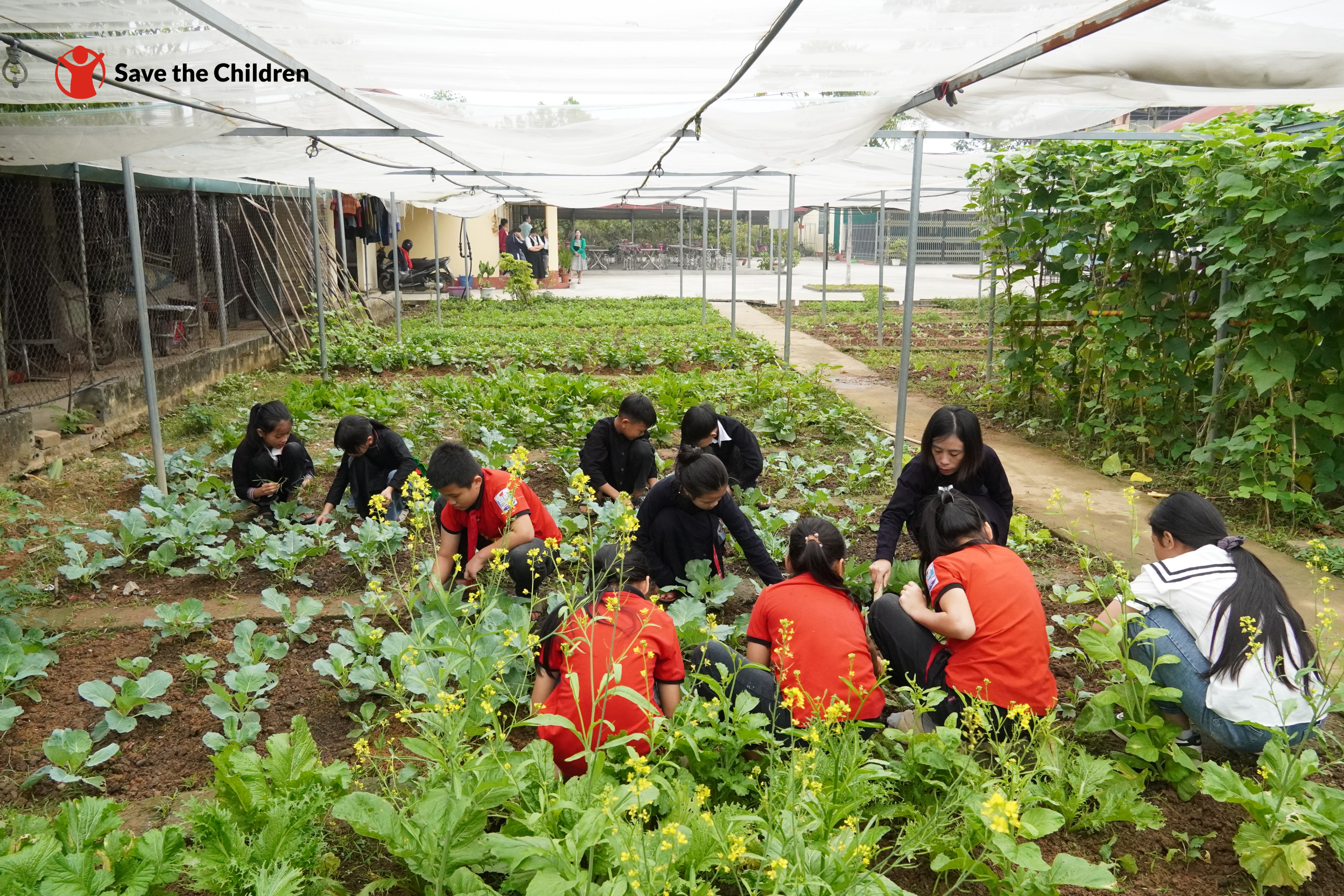 Hành trình 35 năm Tổ chức Cứu trợ Trẻ em tại Việt Nam: Không ngừng thay đổi và phát triển vì trẻ em Việt Hành trình 35 năm Tổ chức Cứu trợ Trẻ em tại Việt Nam: Không ngừng thay đổi và phát triển vì trẻ em Việt