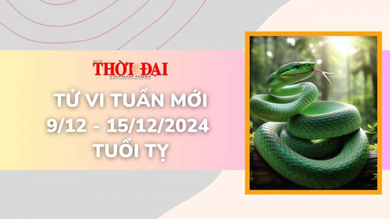 Tử vi tuần mới 9/12 đến 15/12/2024 tuổi Tỵ: Sức khỏe, tình duyên, công danh tài lộc