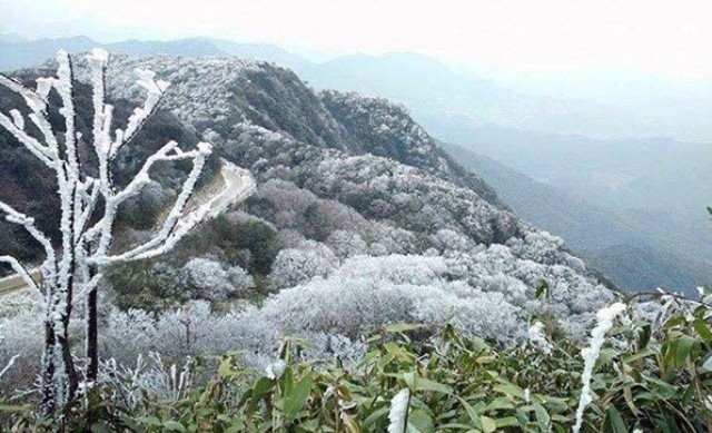 Thời tiết hôm nay (9/12): Bắc Bộ rét đậm, rét hại Thời tiết hôm nay (9/12): Bắc Bộ rét đậm, rét hại