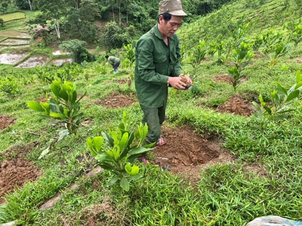 GEF tạo thu nhập bền vững cho người dân miền Tây Nghệ An GEF tạo thu nhập bền vững cho người dân miền Tây Nghệ An